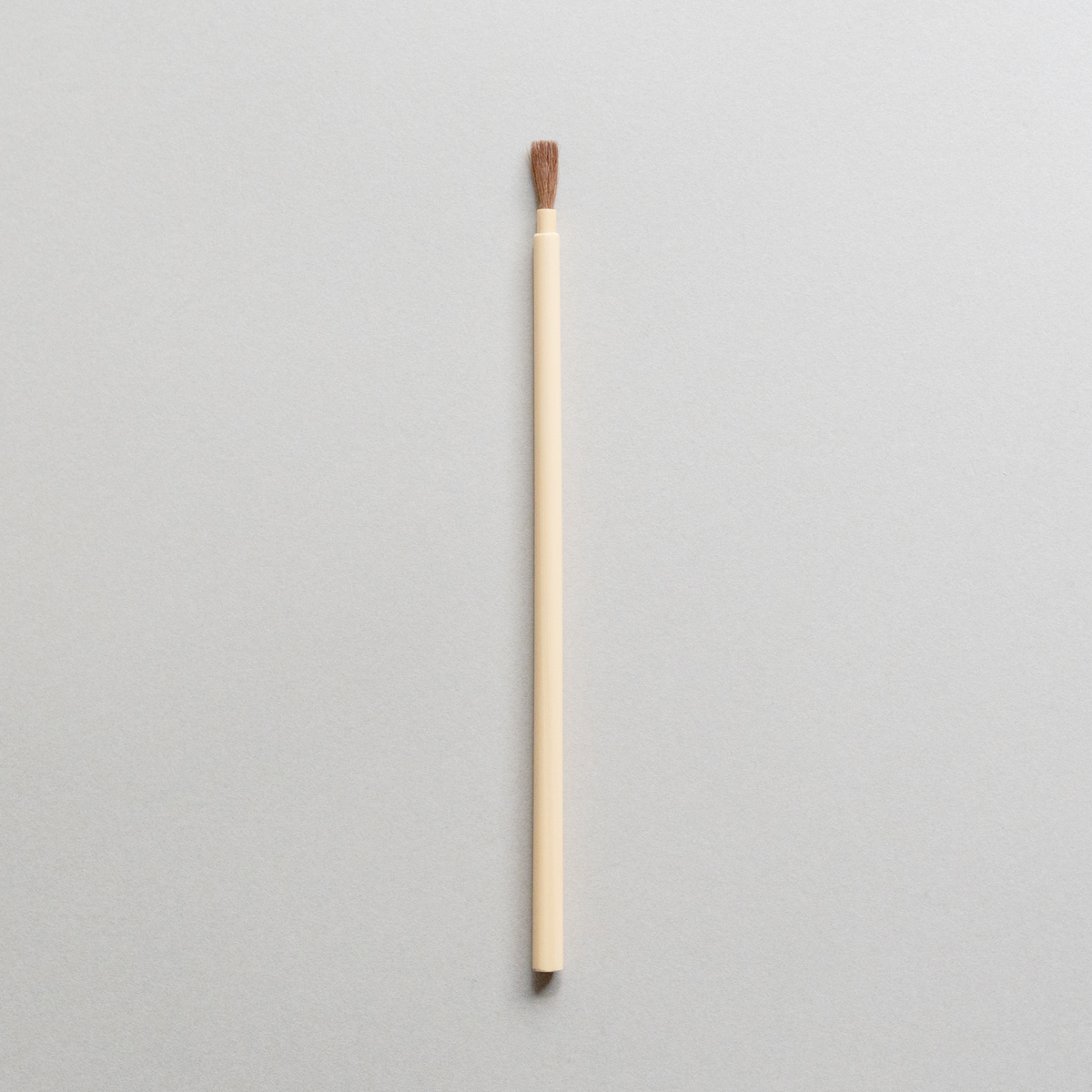 Powder Brush