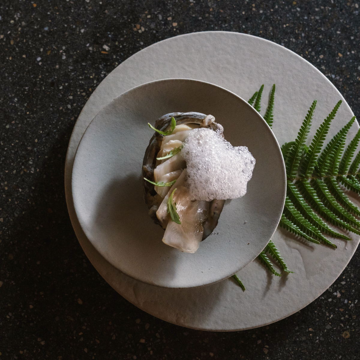Shigaraki Plates - White