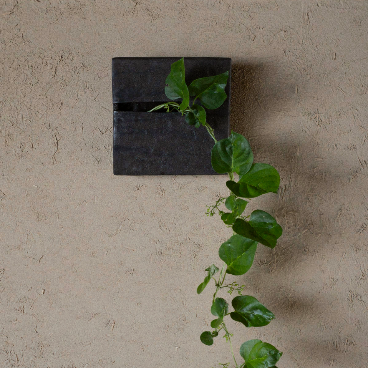 Flat Vase L